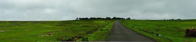 Kaas Plateu July - Mahabaleshwar Kaas