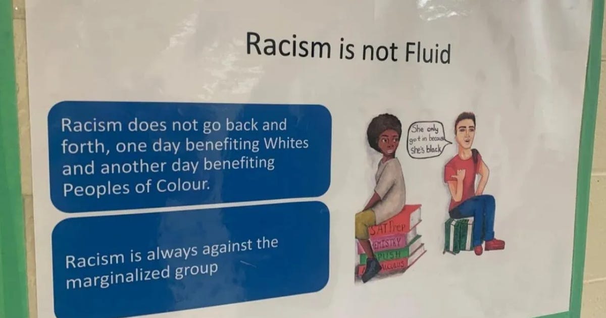 Ontario school poster teaches kids that white people can&rsquo;t experience racism