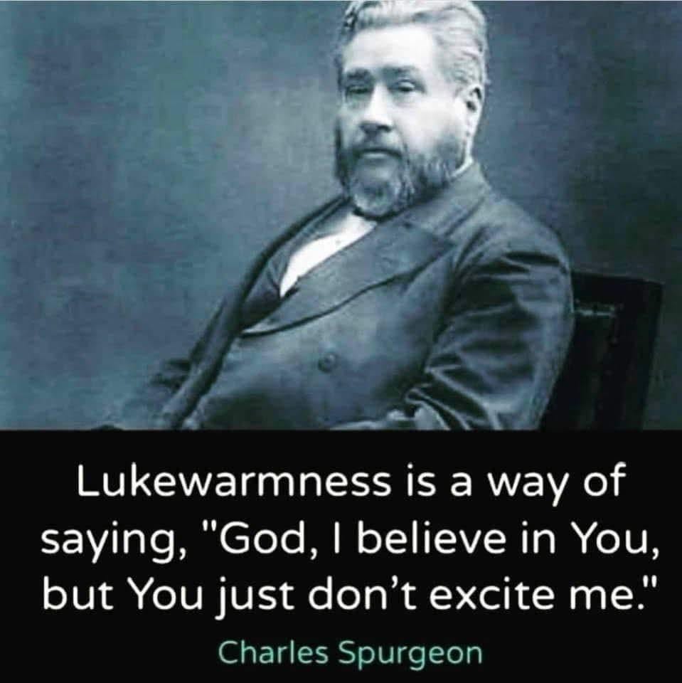 518152720_10224248419597763_4728303114568056030_n.jpg 518152720_10224248419597763_4728303114568056030_n.jpg