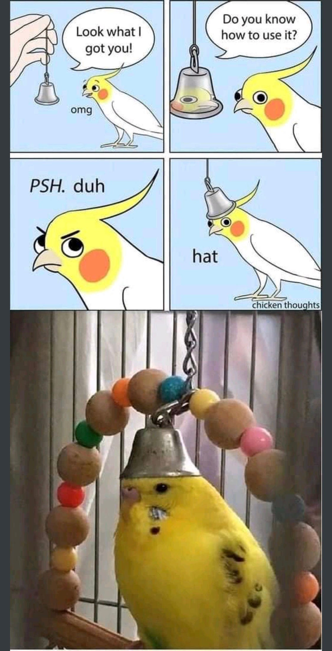 A picture containing text

Description automatically generated