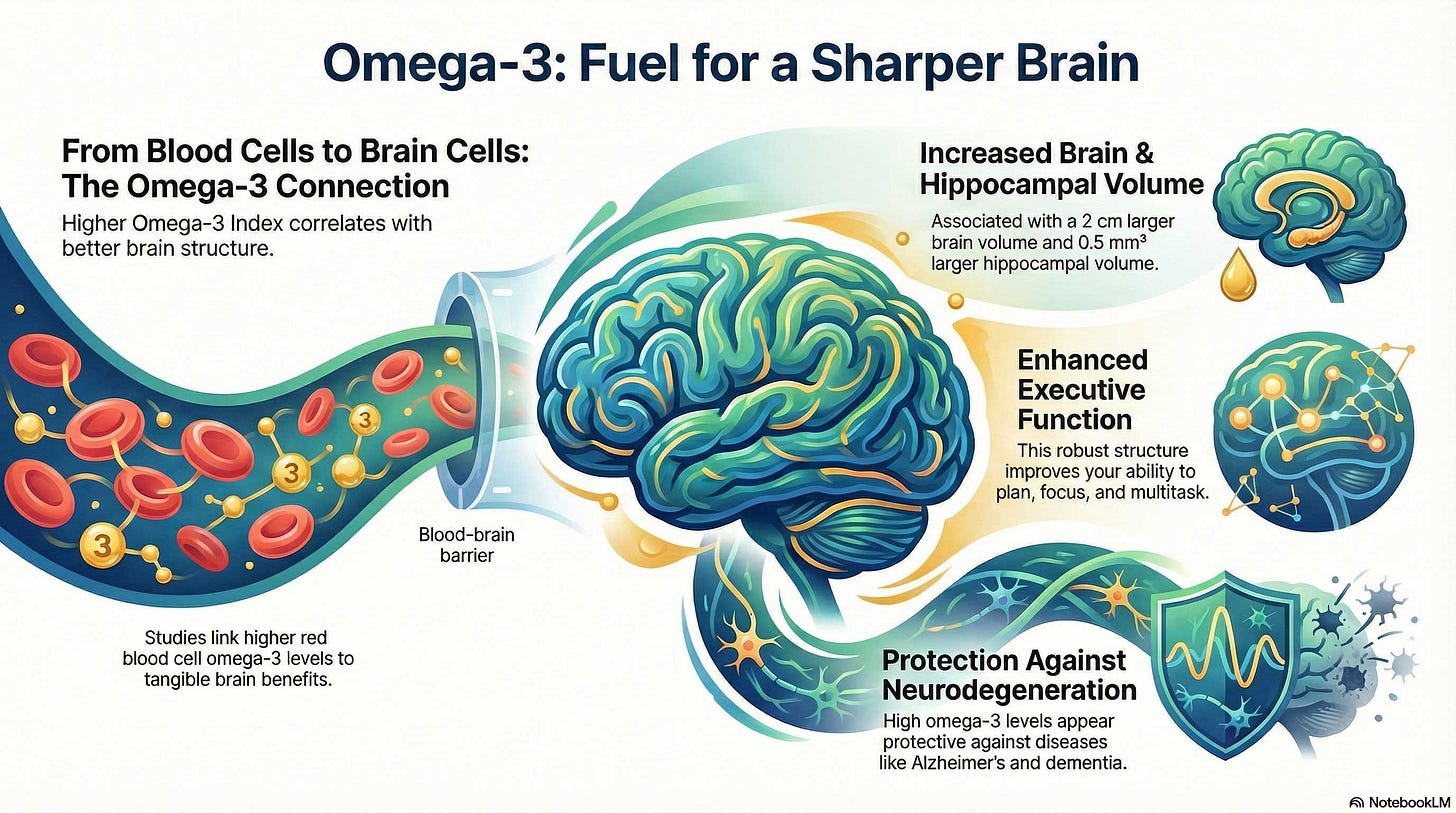 Omega 3 Brain Health