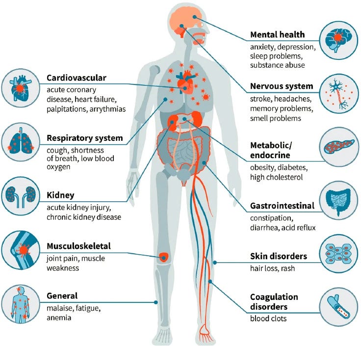 Infographic laying out common symptoms of long COVID, illustrating the text here: https://www.nationalacademies.org/read/27756/chapter/5#58