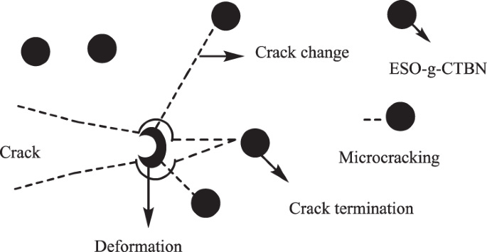 Epoxidized soybean oil grafted with CTBN as a novel toughener for improving  the fracture toughness and mechanical properties of epoxy resin | Polymer  Journal