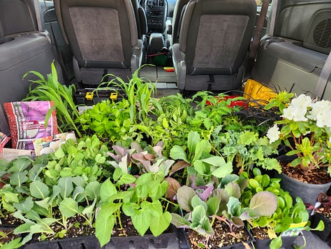 Small Scale Gardening, Food Prep and Preservation