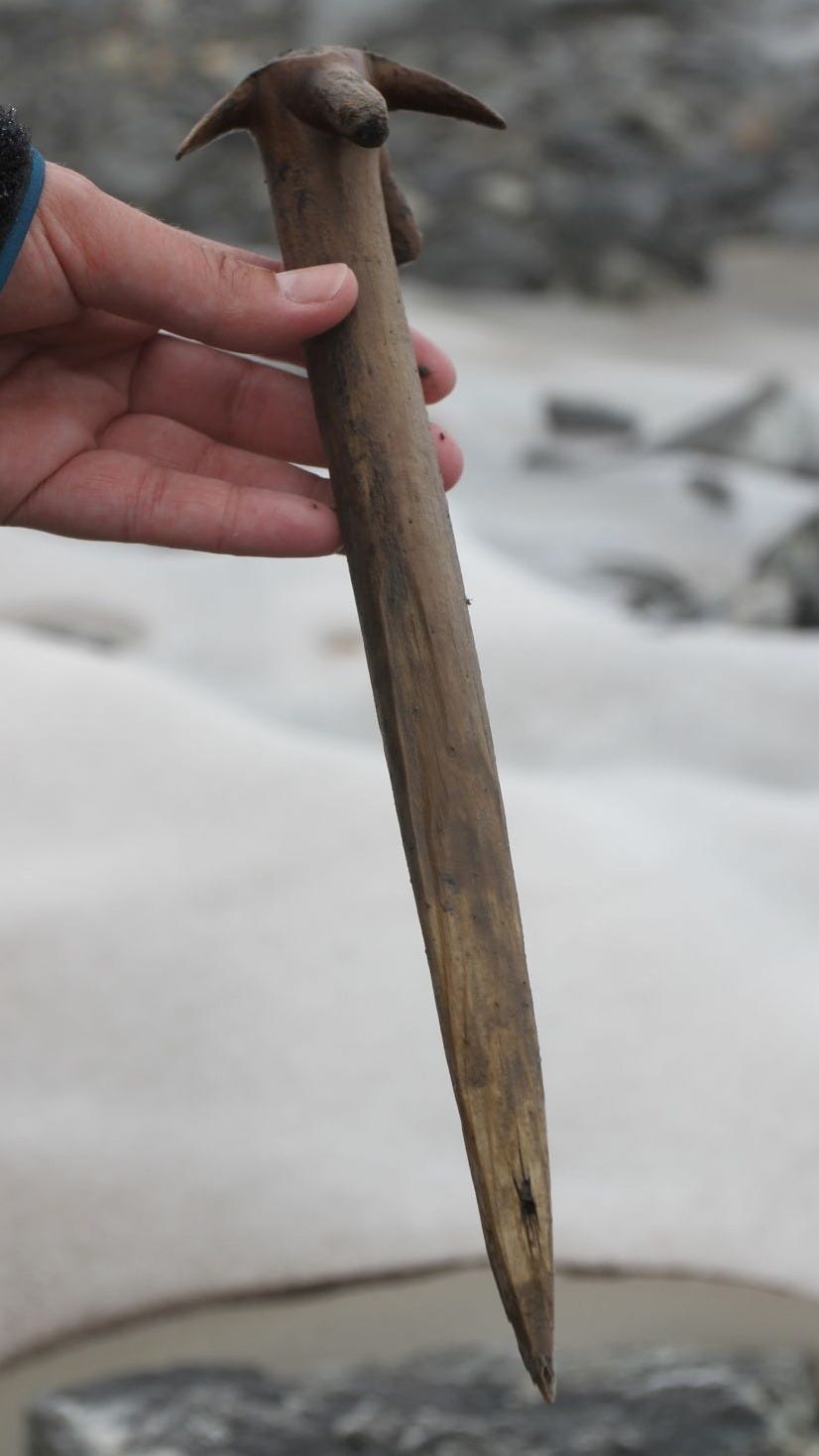 This wooden whisk was dated to 1100 AD and likely doubled as a tent peg.  