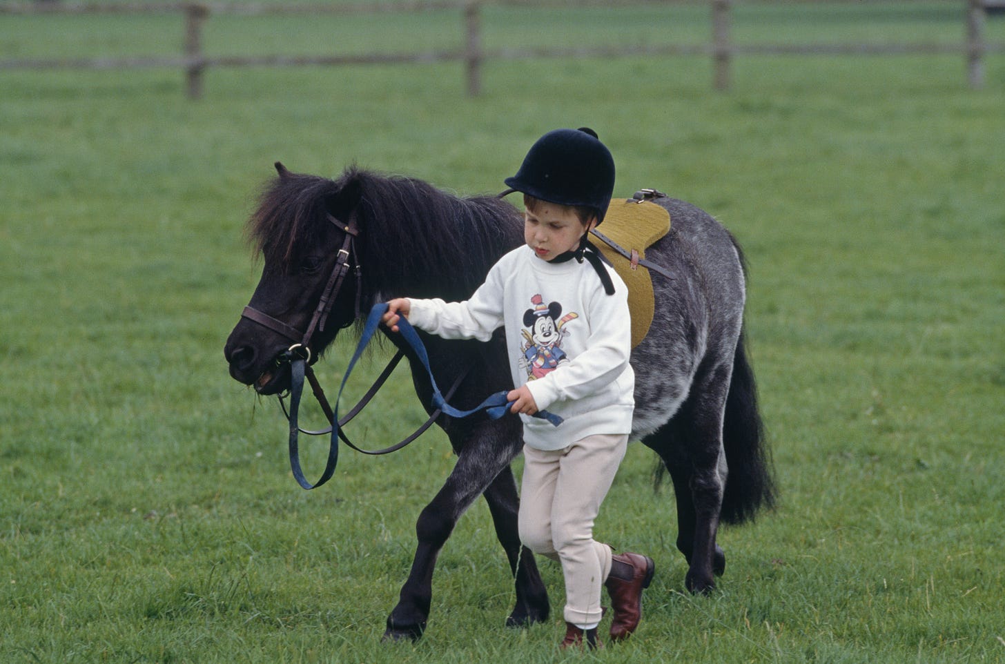 Prince William guiding a Shetland pony