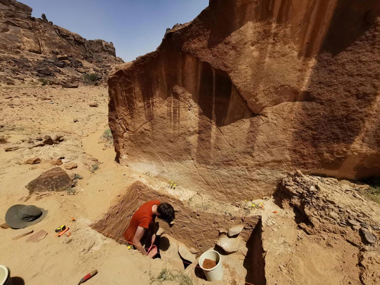 A view shows the excavation of a trench directly beneath a rock art panel bearing an engraving on sandstone of a camel (via REUTERS)