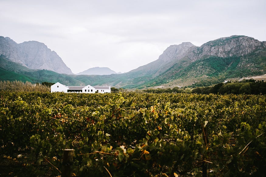 Image of vineyards in the foreground, mountains in the background and a white house towards the left middle of the image. Image of vineyards in the foreground, mountains in the background and a white house towards the left middle of the image.