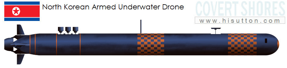 H I Sutton - Covert Shores