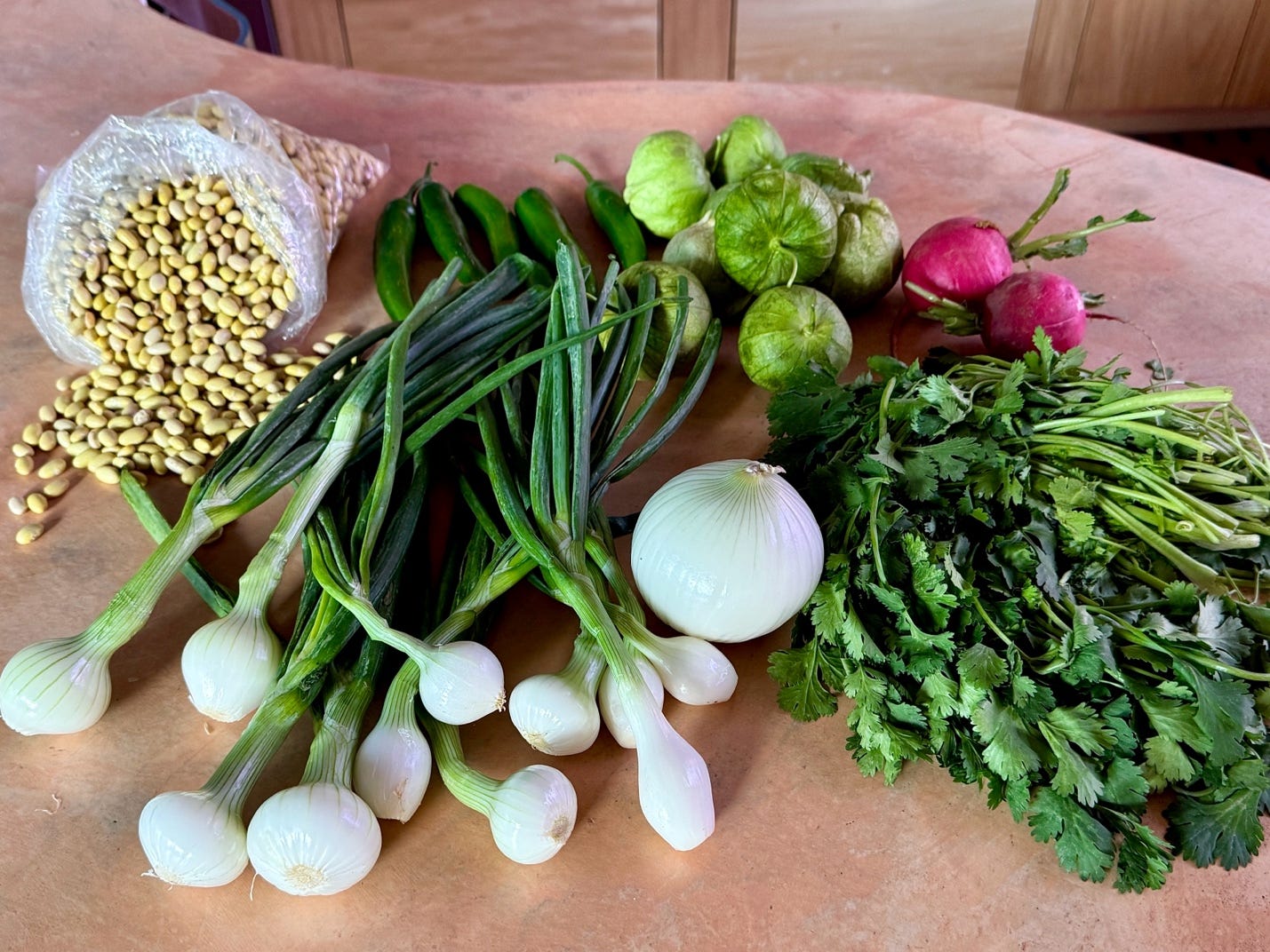 Raw ingredients for carne en su jugo and frijoles de olla: cebolla cambray, white onion, cilantro, serranos, jalapeños, tomatillos in their husks, radishes, and Mayocoba beans.