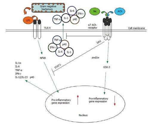 doi: 10.3748/wjg.v12.i46.7451