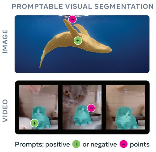 SAM 3: Segment Anything with Concepts - by Siddhant Rai