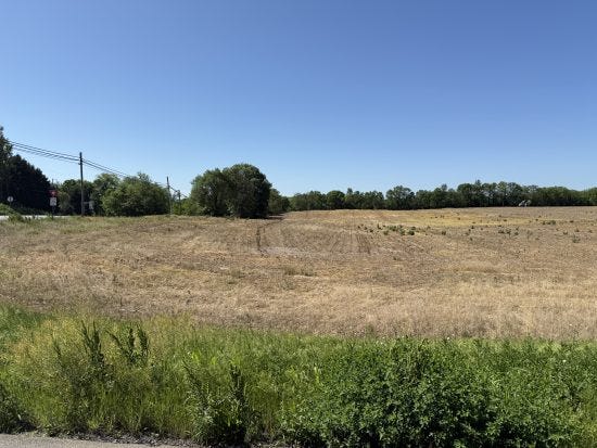 field doused in glyphosate