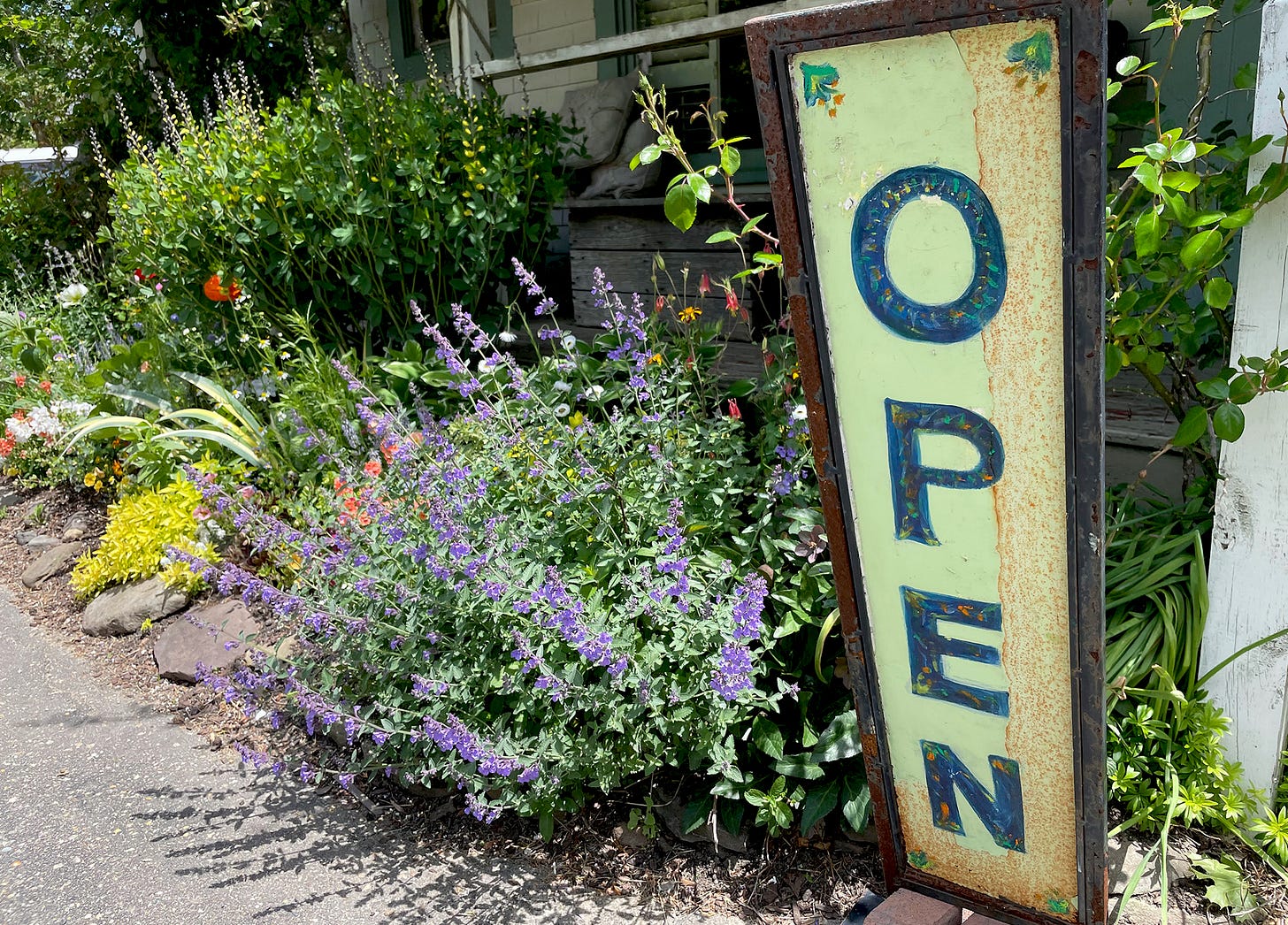 North Tisbury Farm and Market, Cook the Vineyard