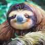 Sloth-of-Bangkok's avatar