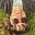 Owl_Sounds's avatar
