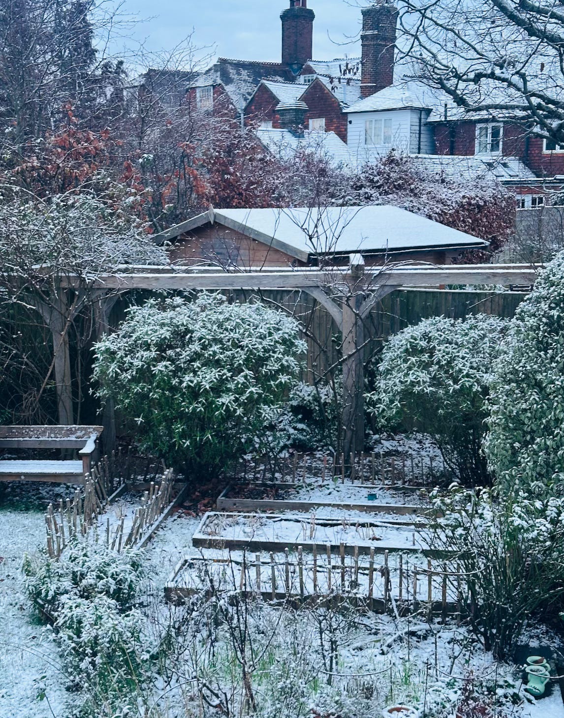 a pretty English village garden on a snowy day