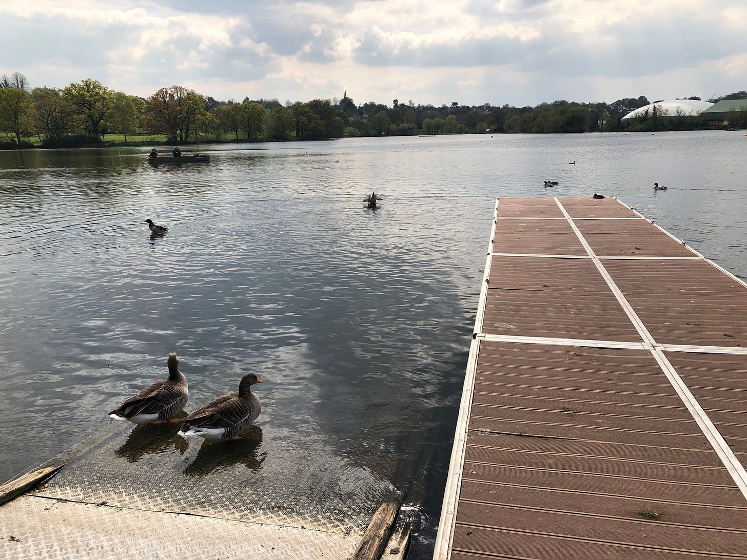 Capital Ring Walk: Wimbledon Park to Richmond Bridge