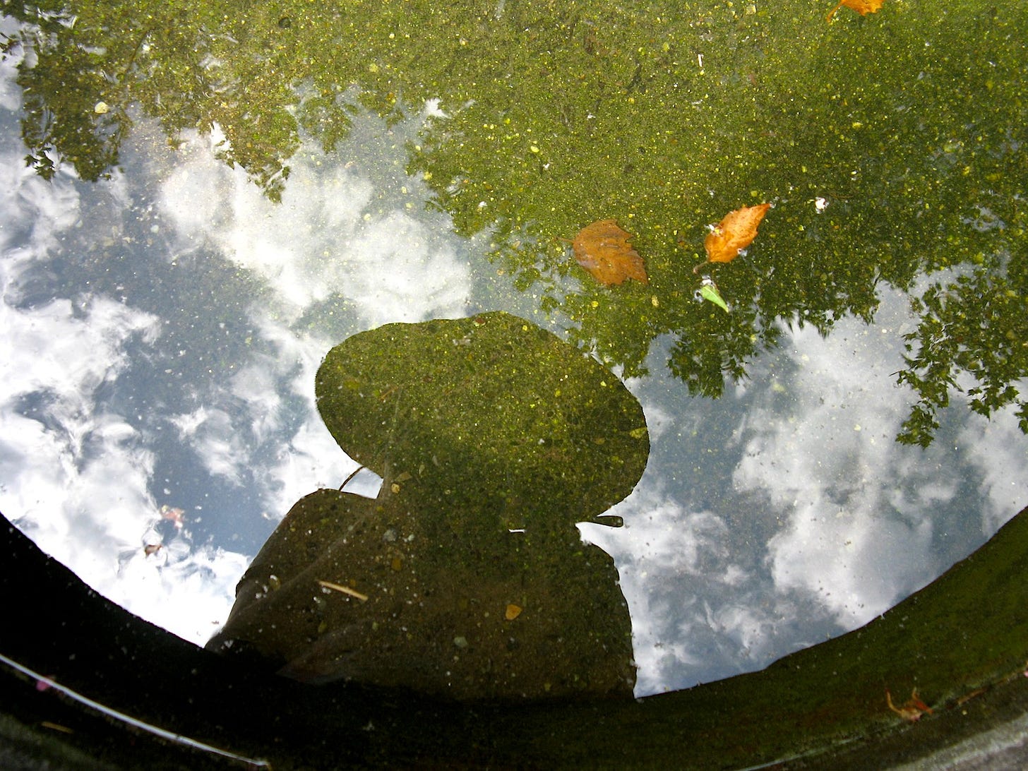Reflection of person wearing sunhat in round container of water, with tree, sky, clouds in reflection