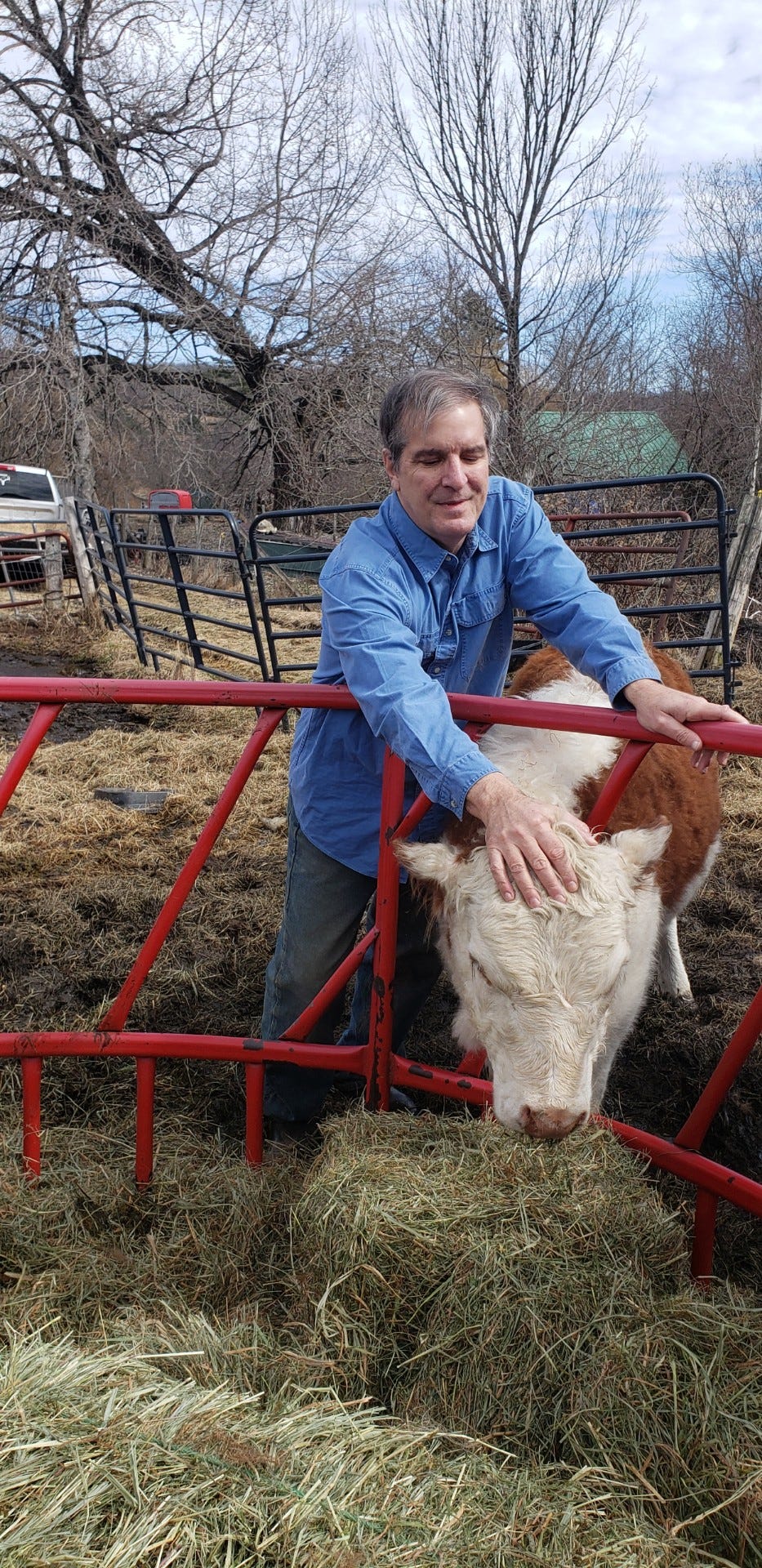 John Klar smiles as he pets the head of a brown-and-white cow leaning over a red metal farm gate. John Klar smiles as he pets the head of a brown-and-white cow leaning over a red metal farm gate.