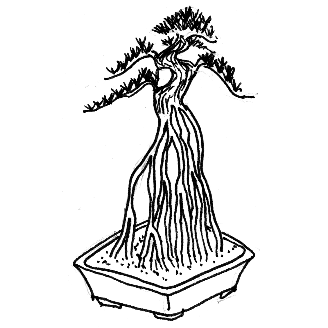 Exposed Root Style