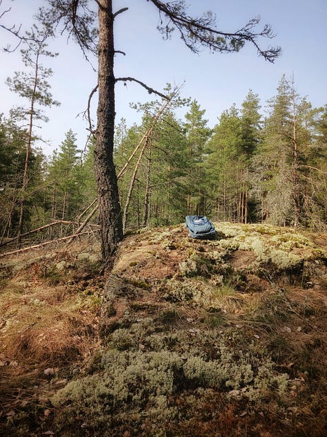 Kuvia Järvelän kosteikolta
