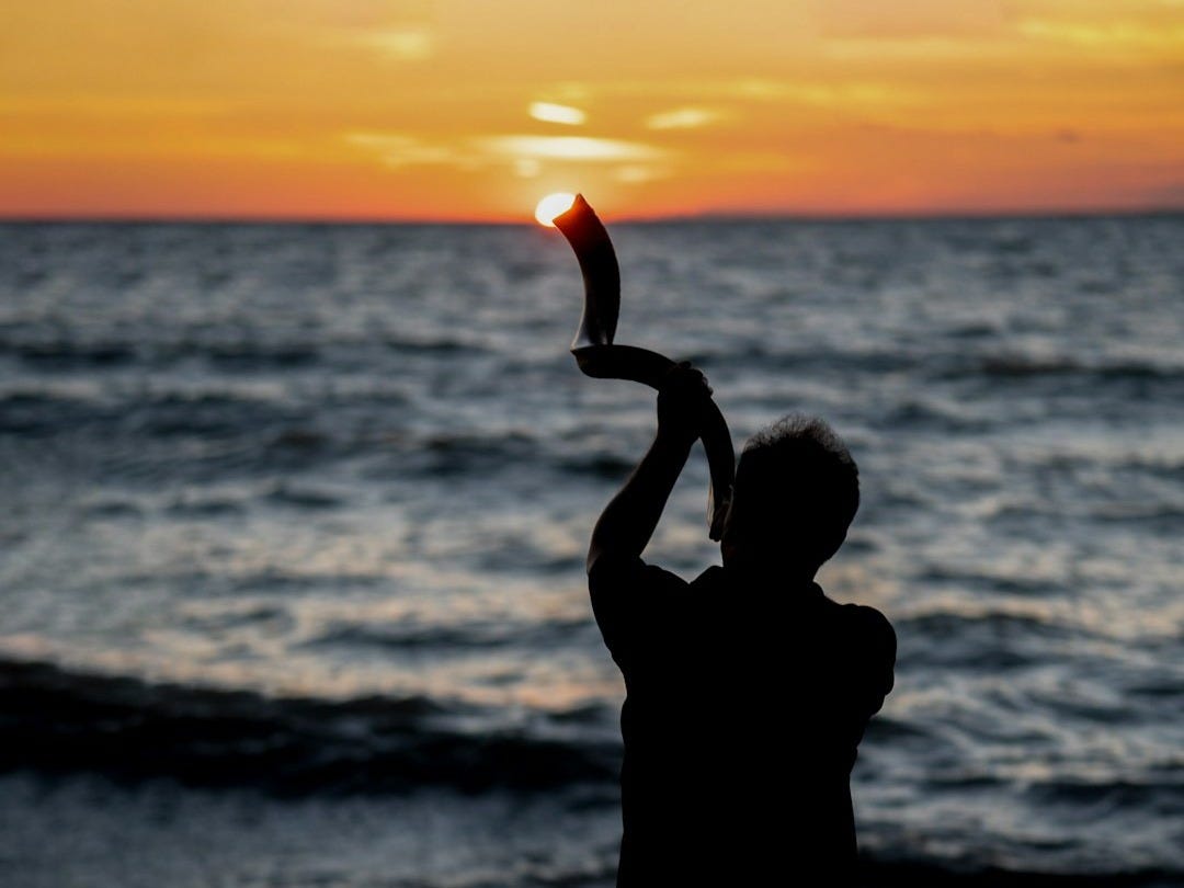 a person standing on a beach holding a kite