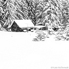 #17: Tiny House