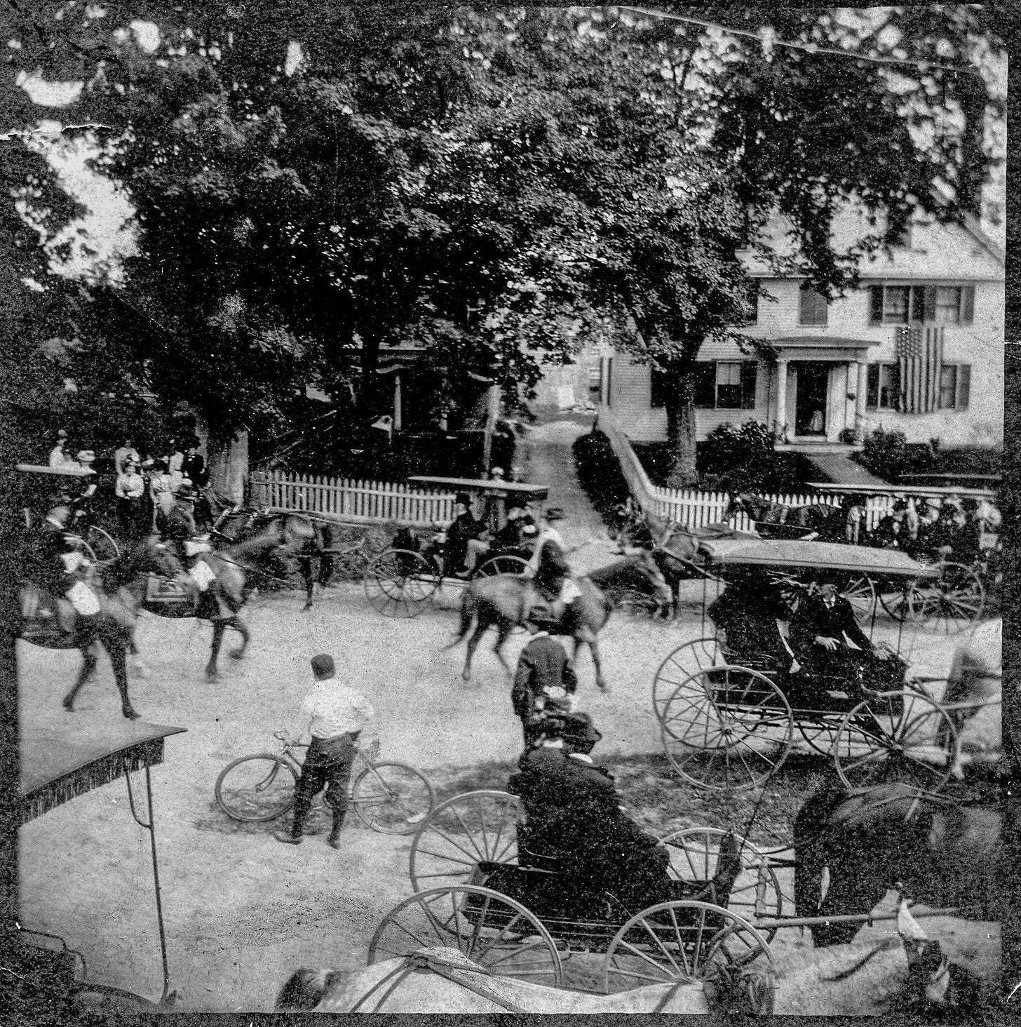 Horse drawn carriages