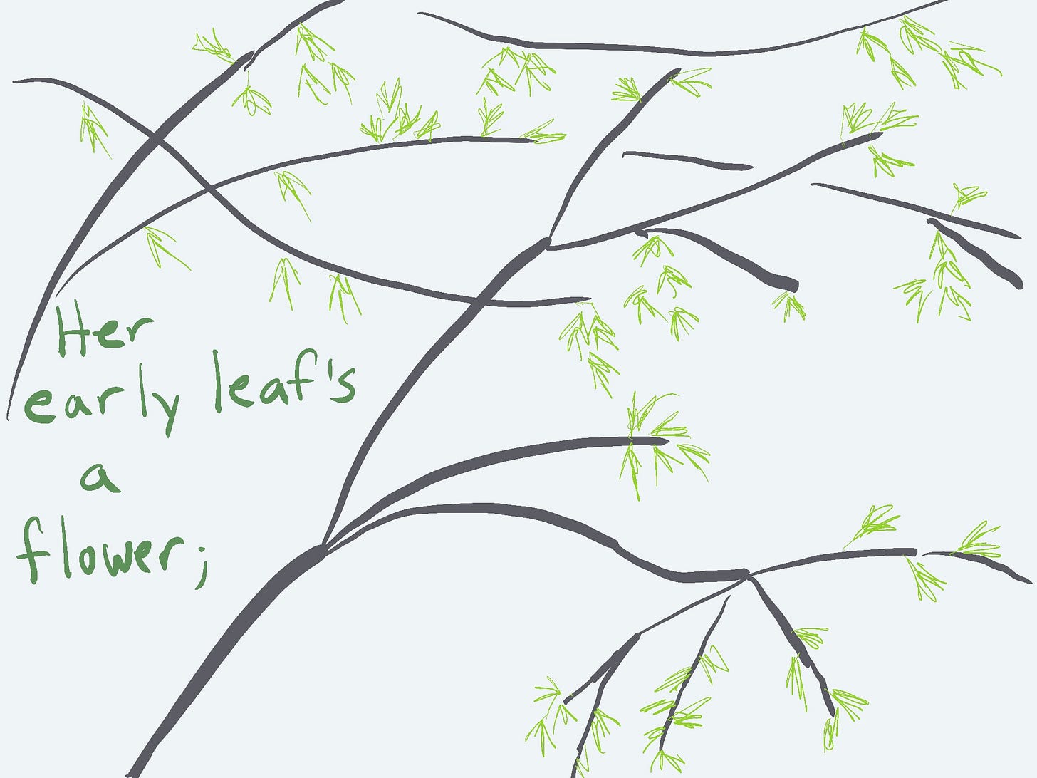 Spring leaves on branches