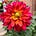 PlantsbyMitch's avatar