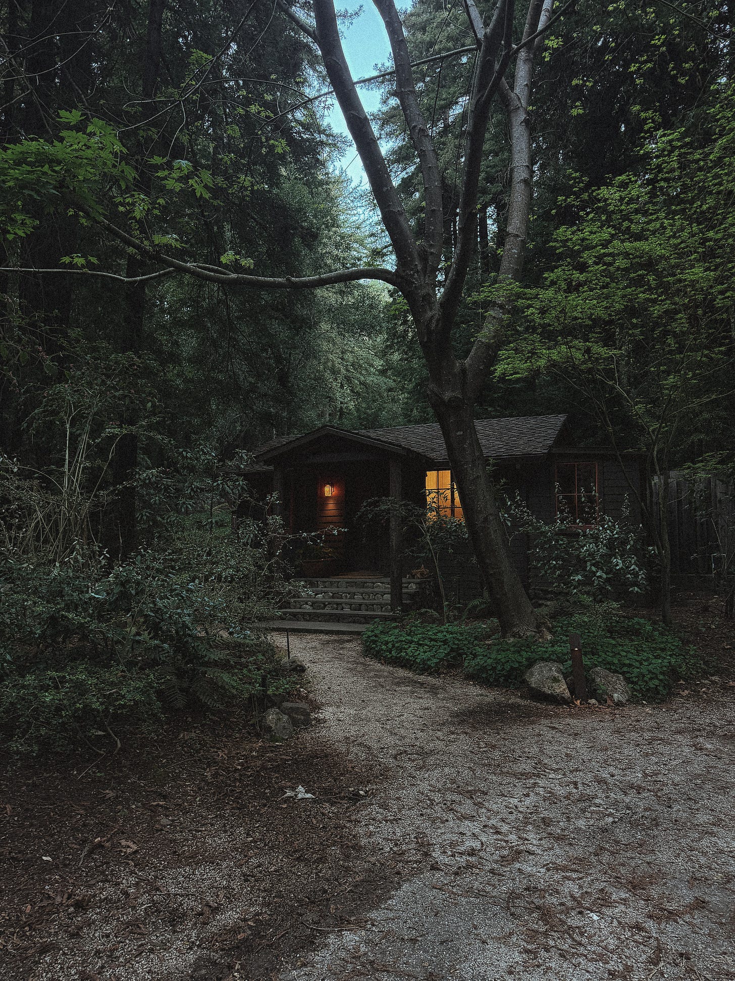 cabin in the woods in Big Sur