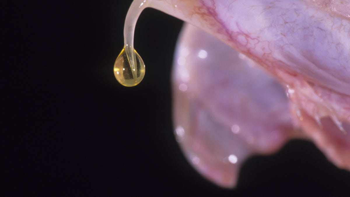 popularrationalism.substack.com