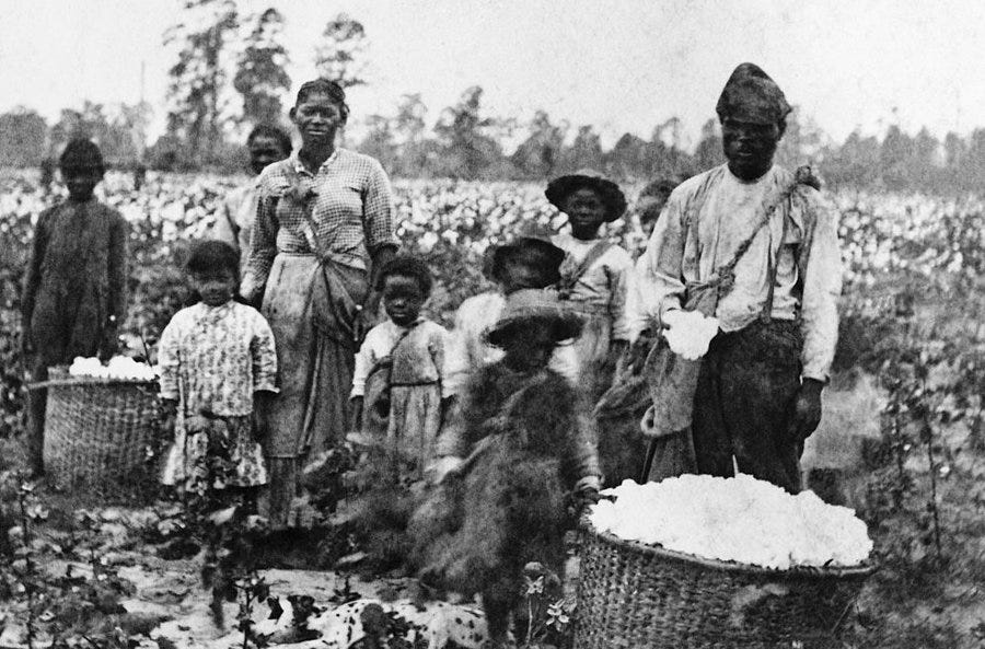 Eight children stand near an adult man and woman in a cotton field with large baskets of cotton before them, near Savannah, Georgia, part of a stereograph by Pierre Havens, circa 1880. A dalmatian dog is laying on the ground. (Photo by Bettmann Archive/Getty Images)