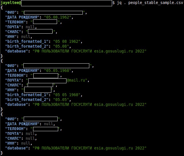 Sample of the data exposed on the people_stable indice we flagged. Fields in a mix of English and Russian, explained above the image. The images shows again a lack of credentials.