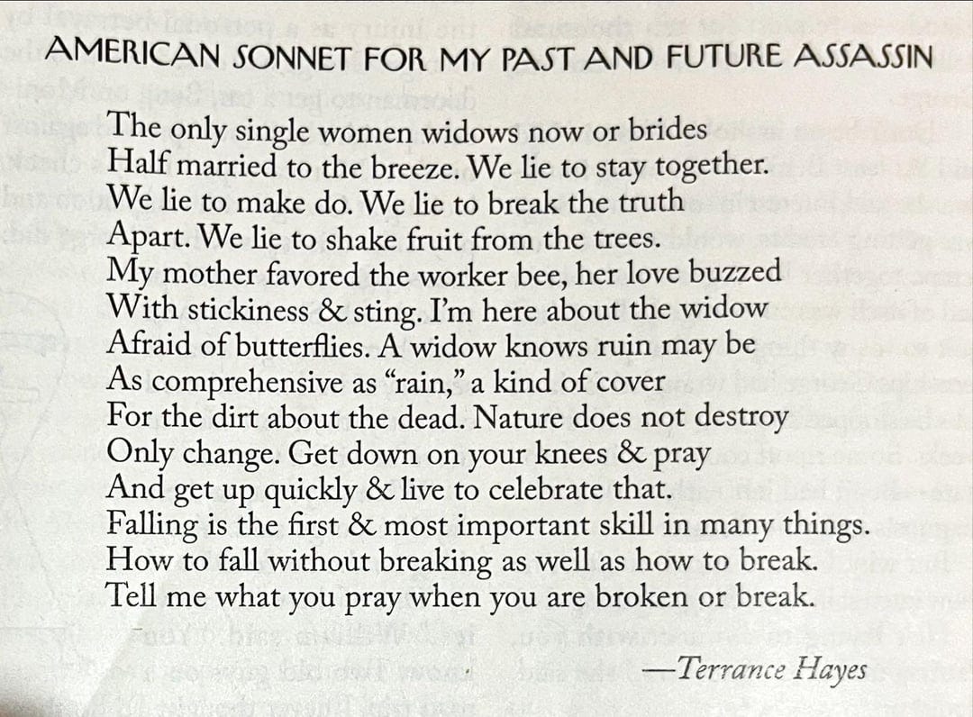 POEM] American Sonnet for My Past and Future Assassin by ...