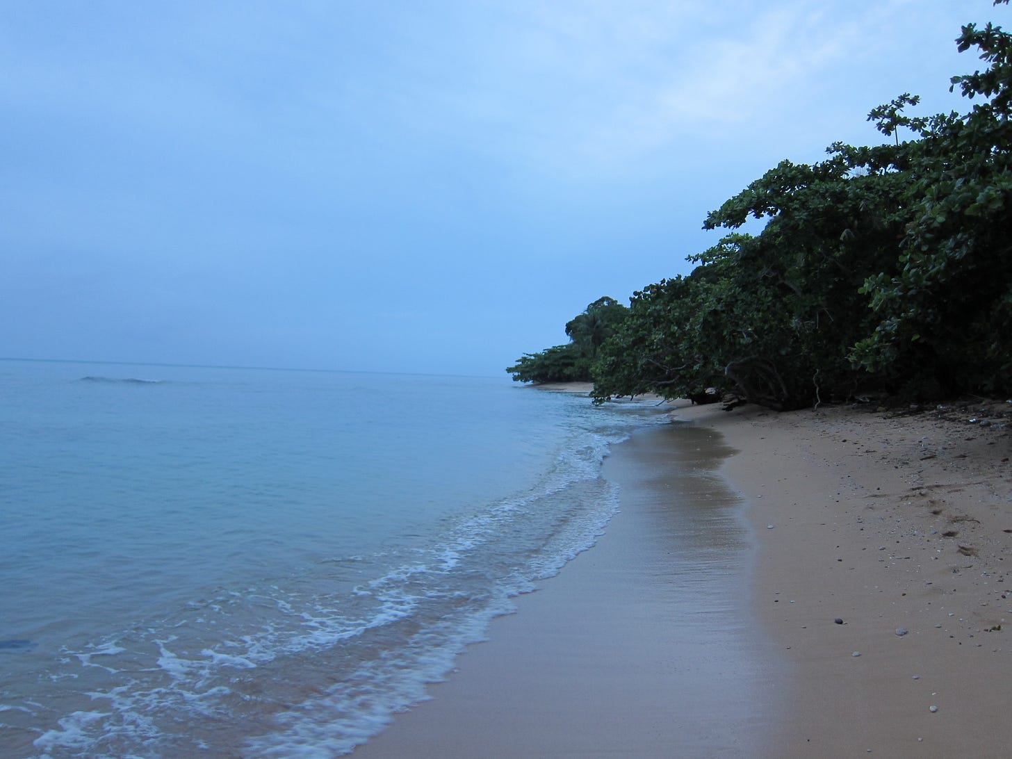 IMG_4093 IMG_4093
