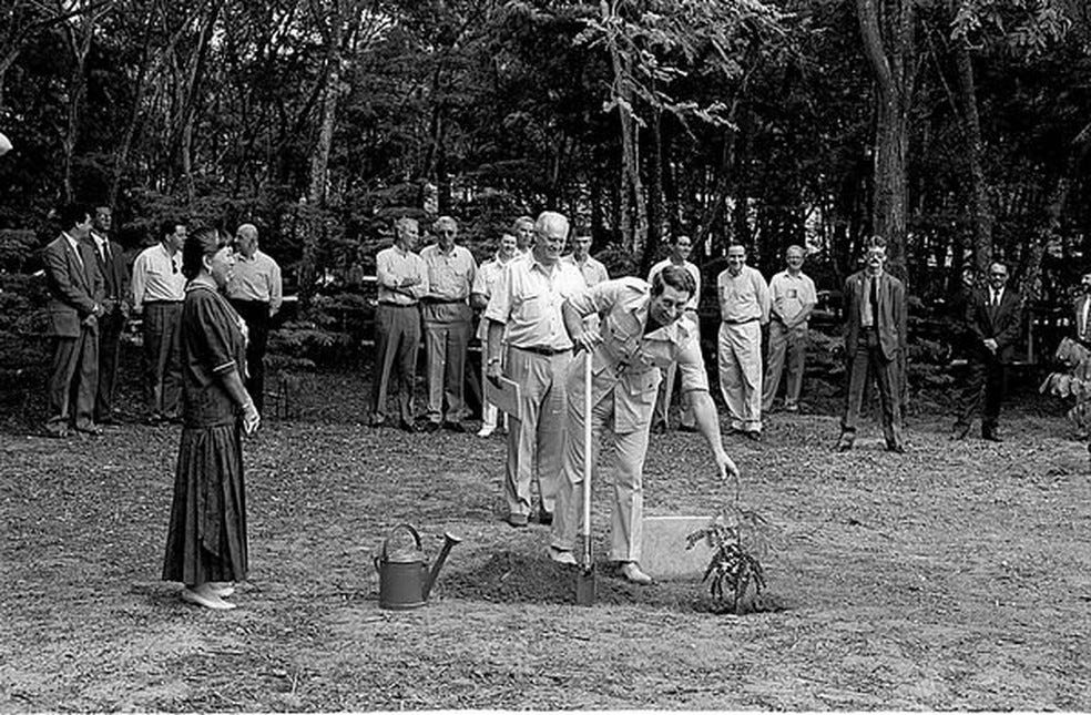 Rei Charles III planta árvore em Aracruz, durante visita ao Espírito Santo, em 1991 — Foto: Arquivo/Rede Gazeta
