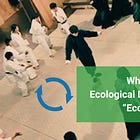 What Makes the Ecological Approach “Ecological?”