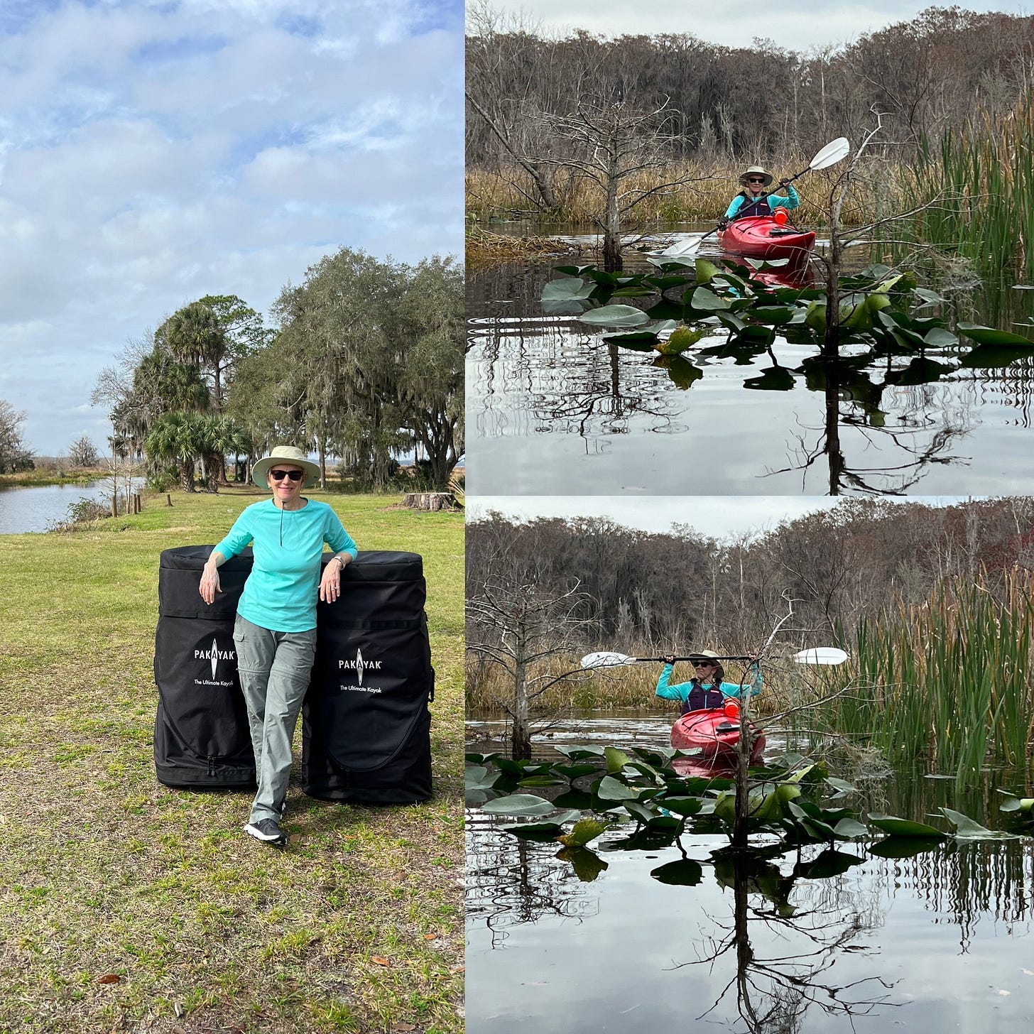 M.A. Hastings leaning back with each arm on the black roller board bags of the nesting put-together Pakayaks. She’s wearing an aqua long sleeved UPF protected tee shirt and gray water resistant pants. Two other pictures show MA in the kayak holding the paddle tilted at two and seven o’clock in one and up over her head in the other in an attempt to maneuver through two small thorny trees, lllly pad overgrowth and tall grass in a v very small sliver of water. The overgrowth is blocking the narrow water path to the larger part of the creek. M.A. Hastings leaning back with each arm on the black roller board bags of the nesting put-together Pakayaks. She’s wearing an aqua long sleeved UPF protected tee shirt and gray water resistant pants. Two other pictures show MA in the kayak holding the paddle tilted at two and seven o’clock in one and up over her head in the other in an attempt to maneuver through two small thorny trees, lllly pad overgrowth and tall grass in a v very small sliver of water. The overgrowth is blocking the narrow water path to the larger part of the creek.