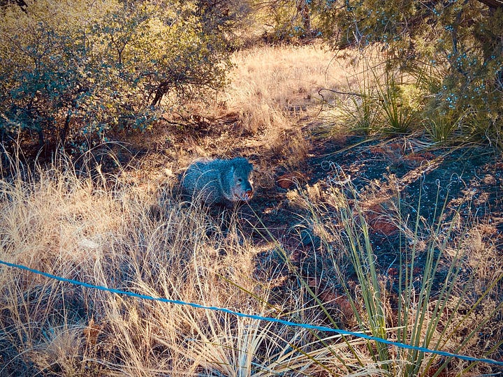 Exploring Sedona Arizona Photos