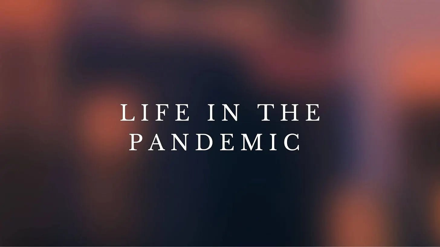 Life in the pandemic Life in the pandemic