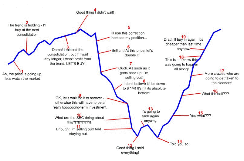 Investor Psychology Illustrated: One Year Later | Seeking Alpha