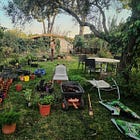 Teo, el arquitecto sevillano de bosques comestibles / Teo, the Andalusian architect of food forests