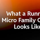 What a Running Micro Family Office Actually Looks Like