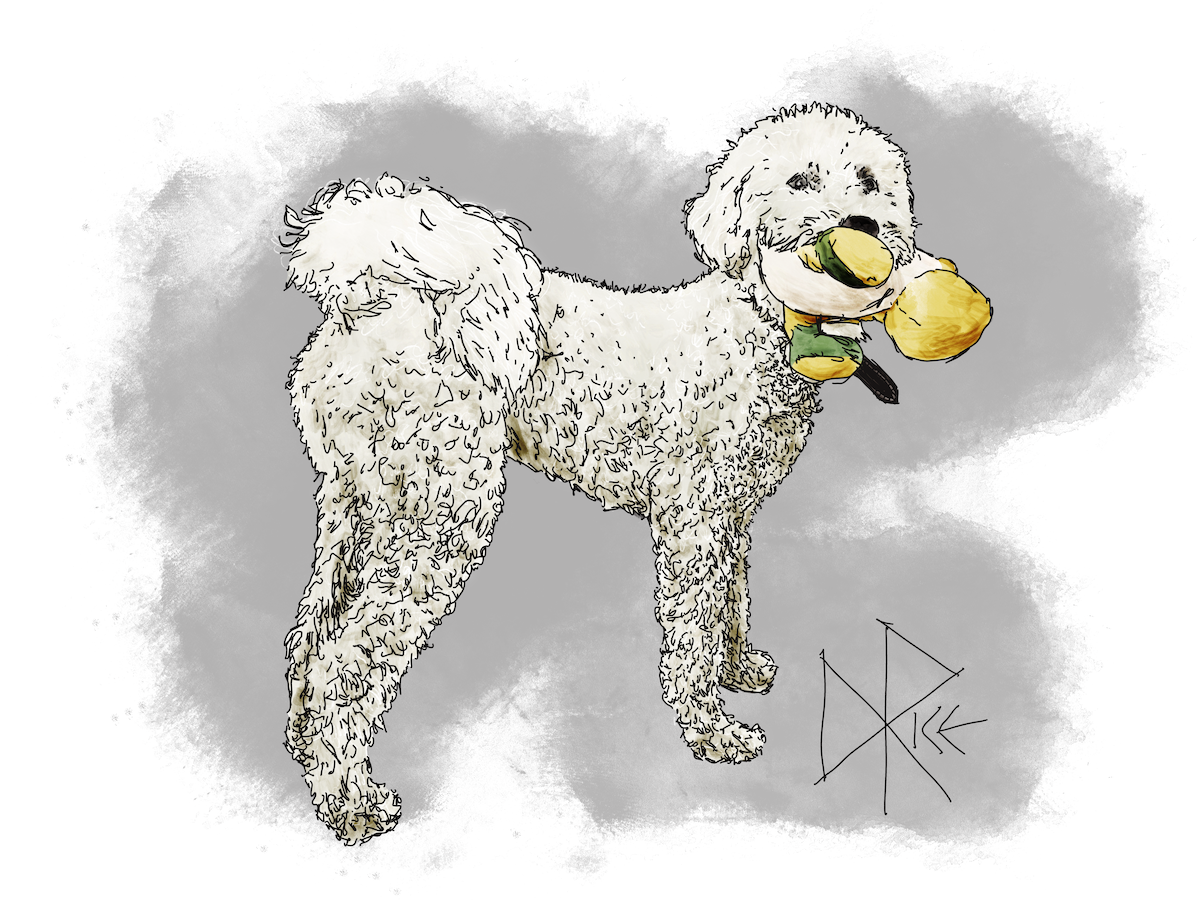 Wagging his tail and holding a plush Yoshi toy in his mouth, a poodle stands patiently and waits for his buddy to put on some shoes. Sketch art by Don Rice. Wagging his tail and holding a plush Yoshi toy in his mouth, a poodle stands patiently and waits for his buddy to put on some shoes. Sketch art by Don Rice.