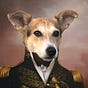 Jay Socol's avatar