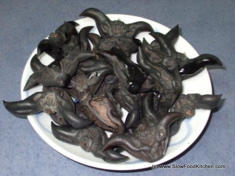 Ling Kok or Bull's Horn or Water Caltrop or Bat Nut