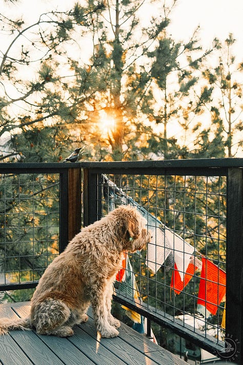 Fuji photographs of life in Montana by Tyler Knott Gregson