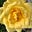 Sandra A Smith's avatar